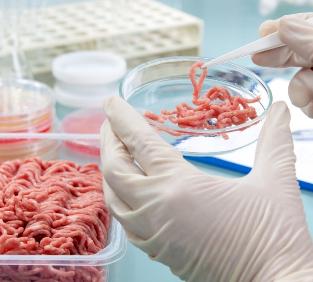 Лабораторный контроль качества и безопасности сырья, полуфабрикатов и готовой продукции в процессе производства биотехнологической продукции для пищевой промышленности